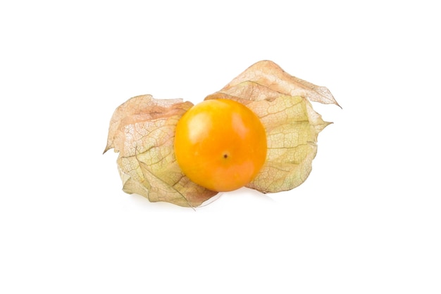 Physalis dell'uva spina del capo isolato su priorità bassa bianca