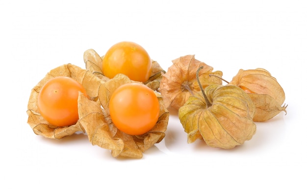 Physalis frutto su uno spazio bianco