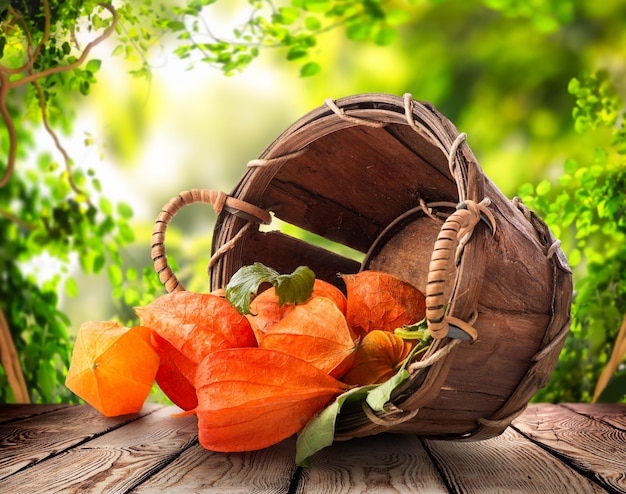 Physalis in un cestino