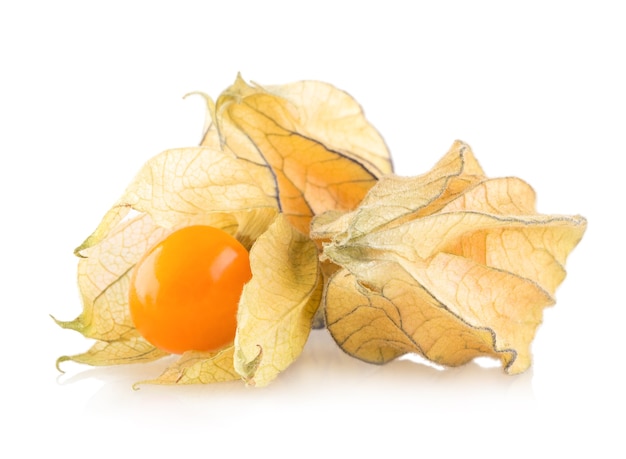 Physalis maturo isolato su sfondo bianco