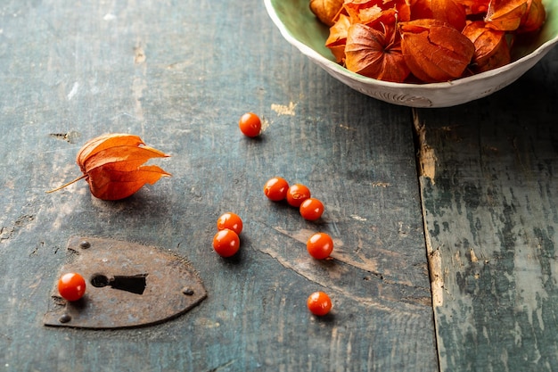 Physalis peruviana frutta physalis physalis uva spina dorata