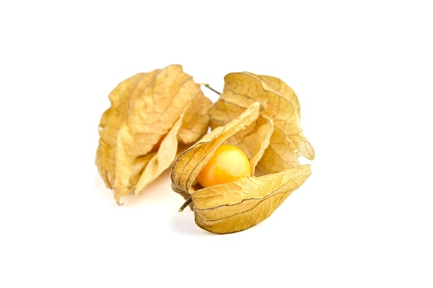 Physalis peruviana isolato su uno sfondo bianco