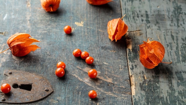 Physalis su ceppo di legno Bacche mature di autunno rosso physalis frutti di bosco Physalis frutta o piante lanterna cinese