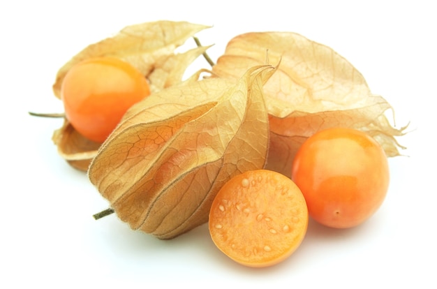 Physalis su un bianco