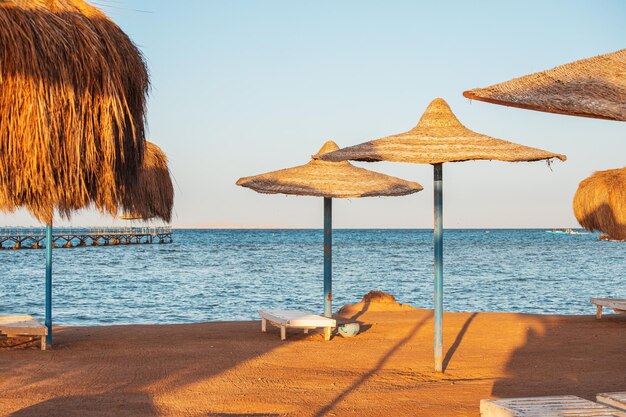 Piaggia con ombrelloni e lettini alla località del Mar Rosso