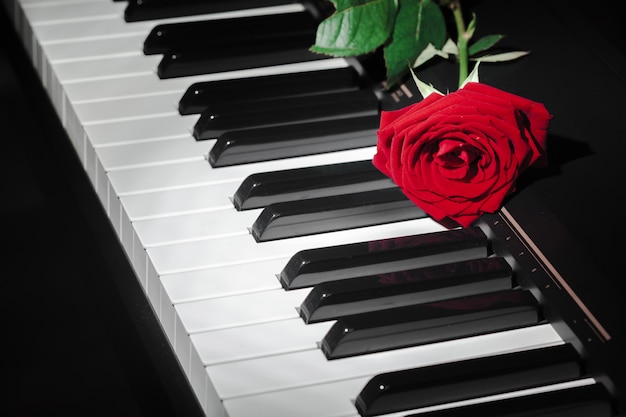 Pianoforte a coda con rosa rossa