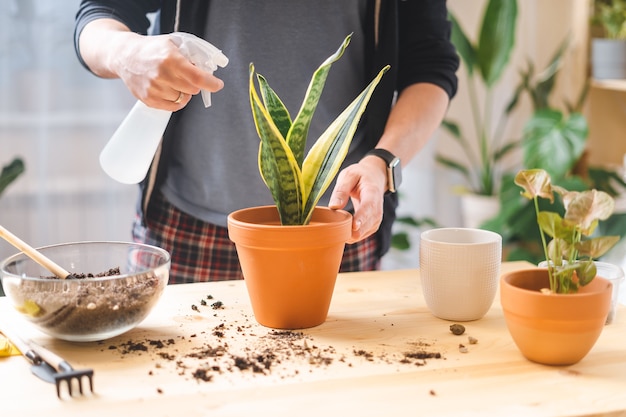 Pianta d'innaffiatura dei giardinieri della donna