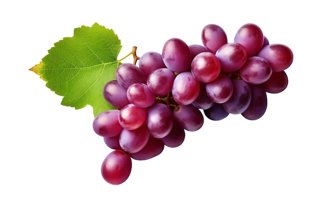 Pianta d'uva isolata su ritaglio di sfondo bianco o trasparente Illustrazione dell'IA generativa