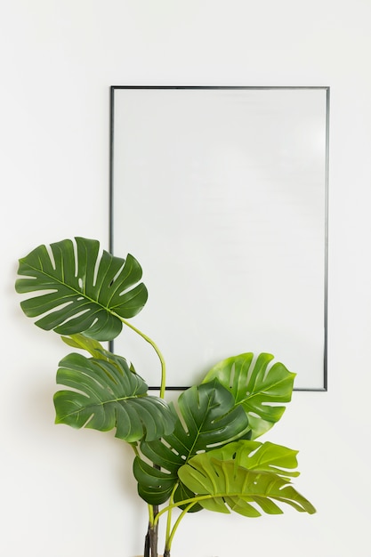 Pianta decorativa con telaio vuoto