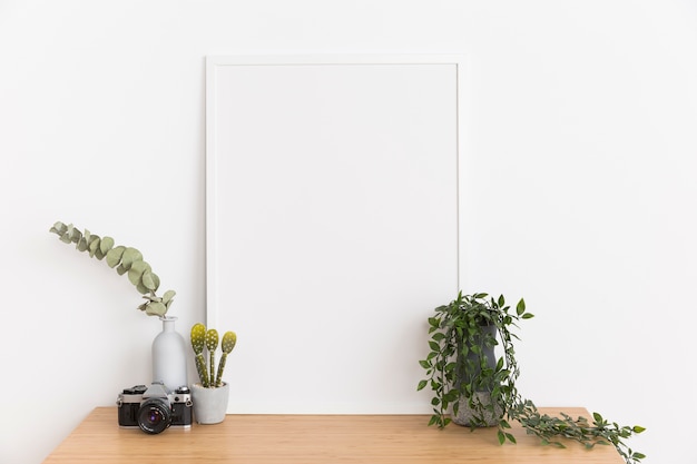 Pianta decorativa con telaio vuoto