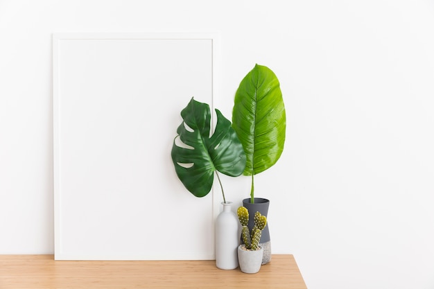 Pianta decorativa con telaio vuoto
