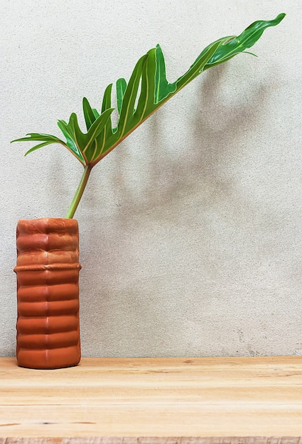 Pianta del fogliame in vaso sulla tavola di legno.