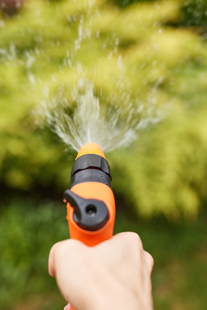 Pianta di irrigazione della donna in giardino in estate