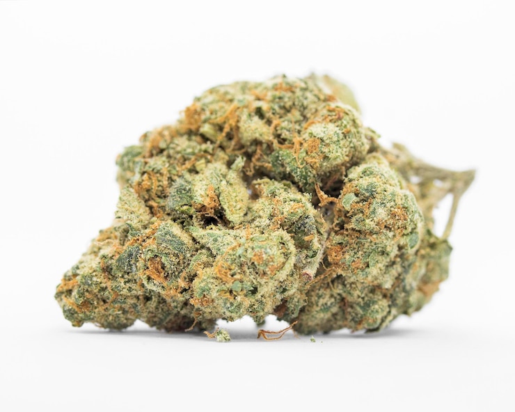 Foto pianta di marijuana medica cannabis ceppo di erbaccia di boccioli di fiori