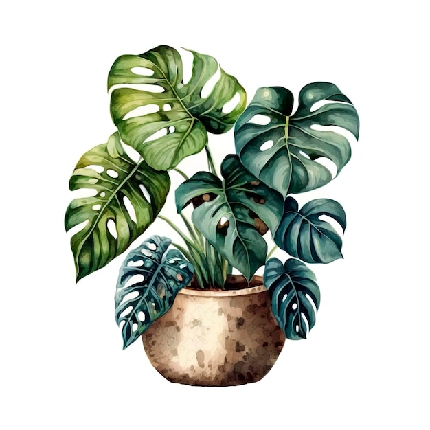 Pianta di monstera in vaso. Illustrazione vettoriale disegnata a mano su sfondo bianco, IA generativa