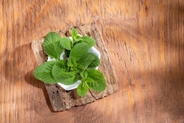 Pianta di salvia viola sul tavolo