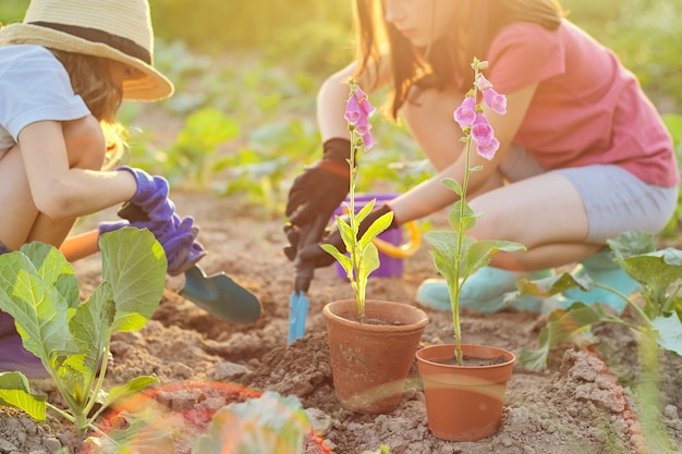 Pianta fiorita in vaso, bambini due ragazze con giardino pale secchio piantare fiori