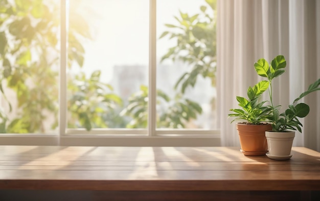 Pianta in vaso su tavolo di legno davanti alla finestra con sfondo di luce solare Foto di alta qualità