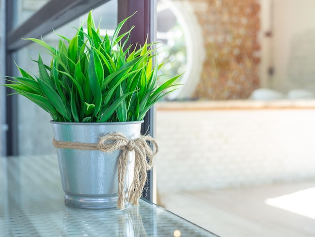 Pianta verde con decorazione in vaso di zinco su tavola di vetro