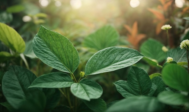 Pianta verde con fiore da vicino