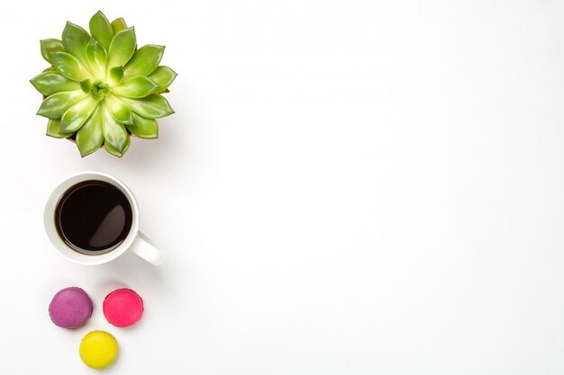 Pianta verde in un vaso, tazza di caffè e amaretti colorati su superficie bianca.