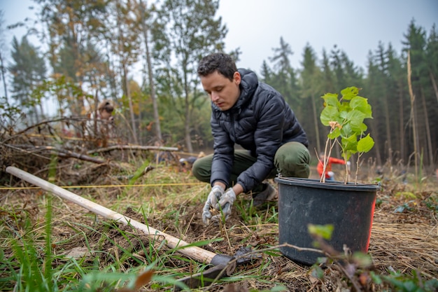 Pianta volontariamente alberi per ripristinare la foresta dopo un vento devastante