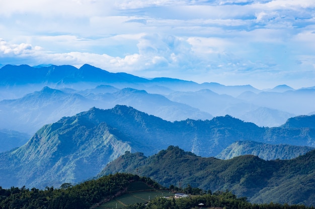 Piantagione di tè e natura di montagna a Taiwan