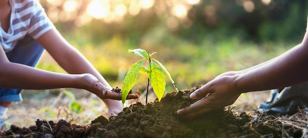 Piantare alberi nel concetto di giardino salva la terra verde del mondo