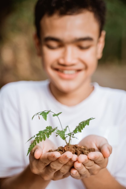 Piantare alberi per una migliore sostenibilità ambientale