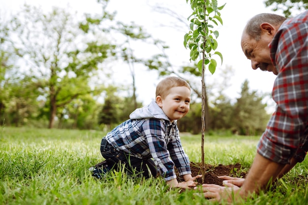 Piantare l'albero genealogico Ragazzino che aiuta suo nonno a piantare un albero mentre lavora insieme