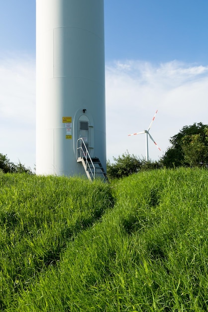 Piante che crescono sul campo contro il cielo