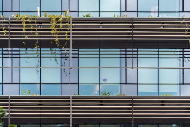 Piante davanti a un motivo fatto delle finestre del balcone