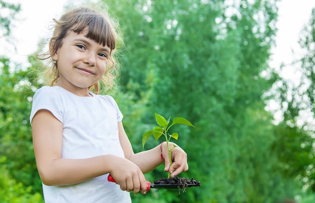 Piante del bambino e piante di innaffiatura nel giardino