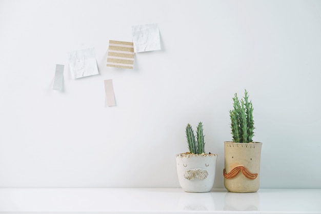 Piante di casa in vaso del cactus con la nota appiccicosa sulla parete bianca.