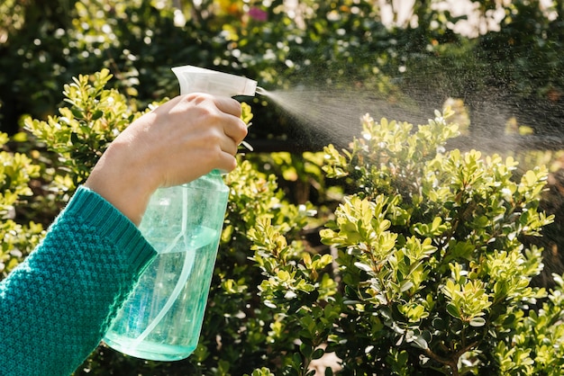 Piante di innaffiatura della donna con la bottiglia dello spruzzo