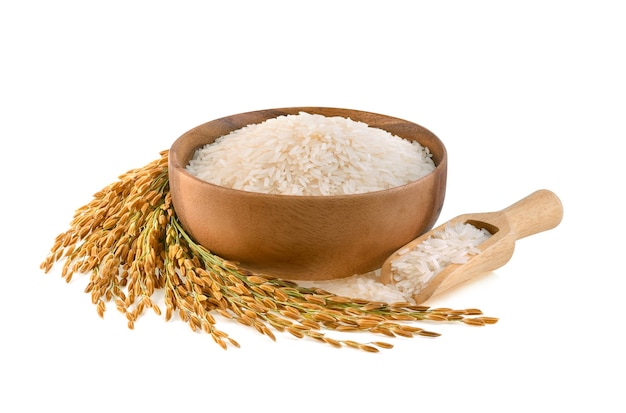 Piante di riso, grani di riso al gelsomino tailandese in ciotola di legno su superficie bianca white