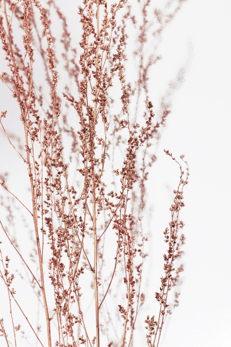 Foto piante dipinte di rame. minimo concetto di tendenza. colore tendenza autunno natura morta. erba naturale. disteso.