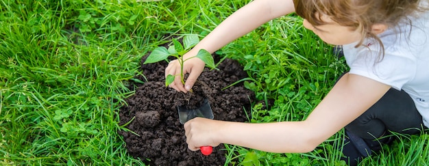 Piante e innaffiature del bambino nel giardino.