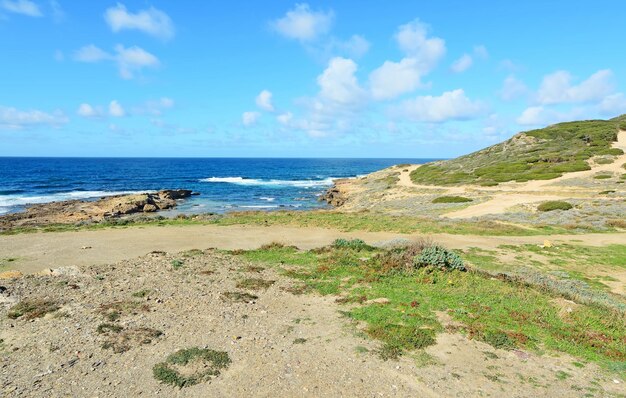 Piante e rocce nella spiaggia del Porticciolo Sardegna