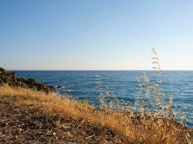 Piante secche e vista sul mare