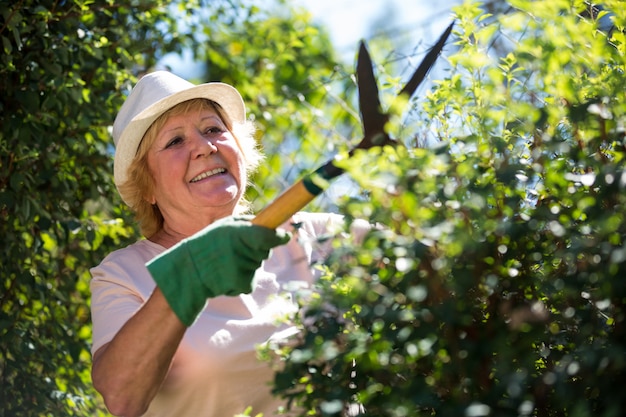 Piante senior della guarnizione della donna con le cesoie di potatura