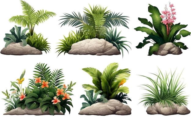 Piante tropicali Set Cespugli e pietre decorative Generative AI