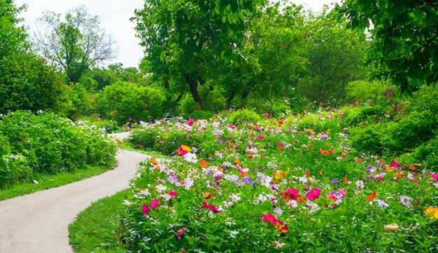 Piante verdi fiori alberi sentieri boschivi foto generate da Ai88