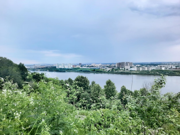 Piante verdi selvatiche e una città sulla riva del fiume in lontananza