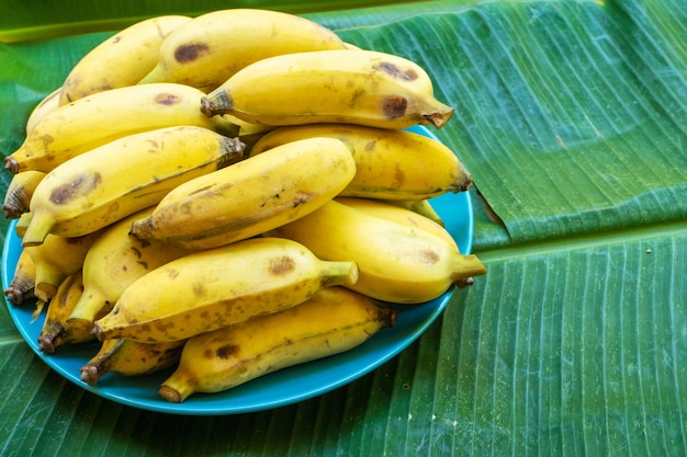 Piastra con banane gialle mature su una grande foglia di banana gialla