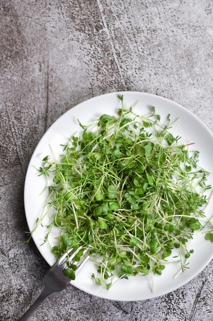 Piastra con microgreens su un tavolo di cemento