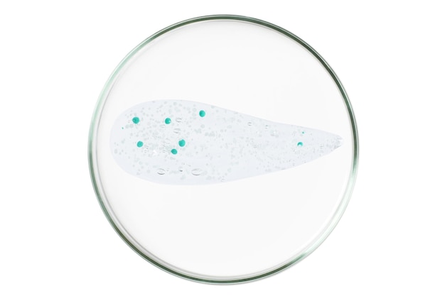 Piastra di Petri isolata su uno sfondo vuoto Una macchia di un siero di gel trasparente in una piastra di Petrie