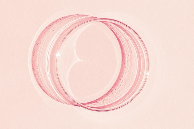 Piastra di Petri Su uno sfondo rosa