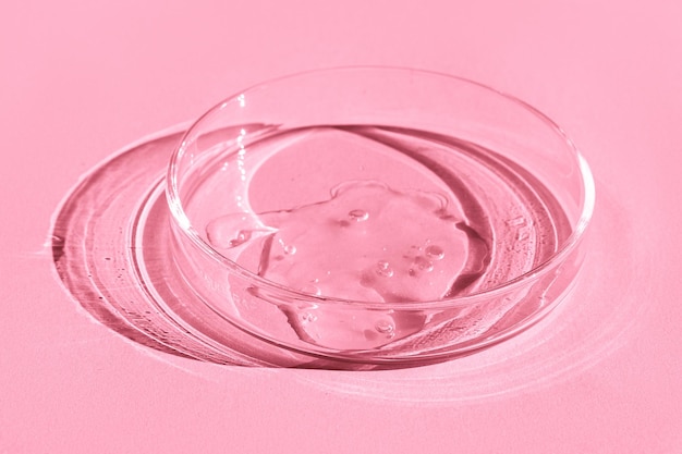 Piastra Petri con gel trasparente su sfondo rosa