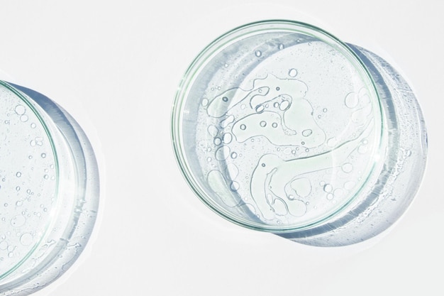 Piatta di Petri Coppa di Petris con liquido Elementi chimici olio cosmetici Gel molecole d'acqua Virus Closeup su sfondo bianco